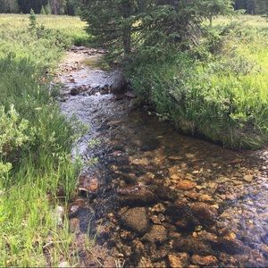 Meet your Posher, Jesse